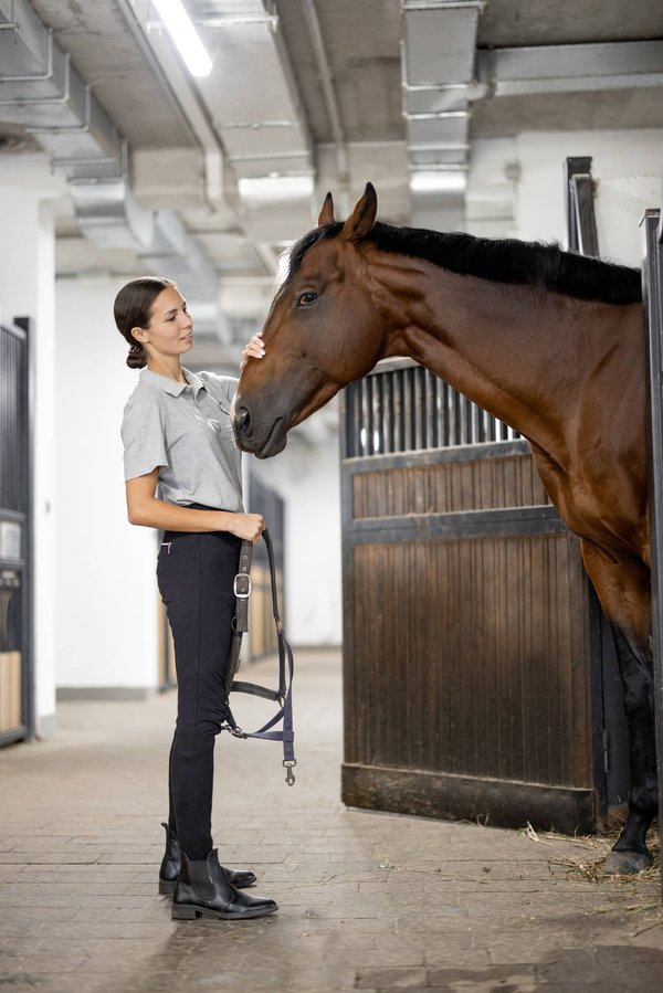 Arthri calme équin : une approche holistique pour le traitement des douleurs articulaires chez le cheval